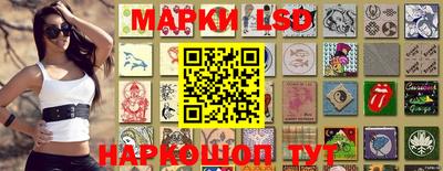 гидропоника Дубна