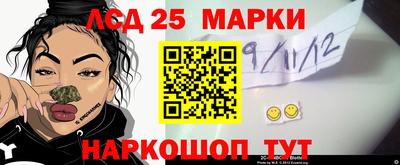 шишки Донской