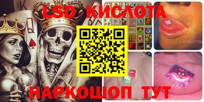 шишки Донской