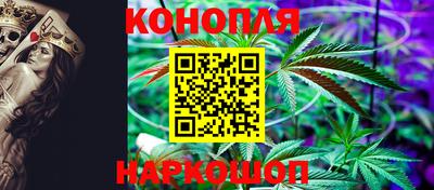 гидропоника Дубна