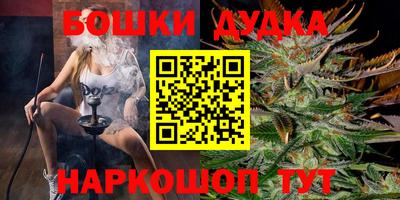 гидропоника Дубна