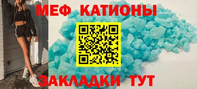 шишки Донской