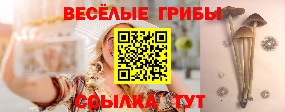 Псилоцибиновые грибы Psilocybe  Галлюциногенные грибы GOLDEN TEACHER  Лесосибирск  Вход с VPN 